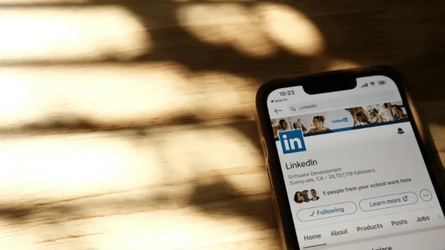 network-is-net-worth-2-year-old-linkedin-profile-goes-viral-internet-pulls-job-experience-jokes